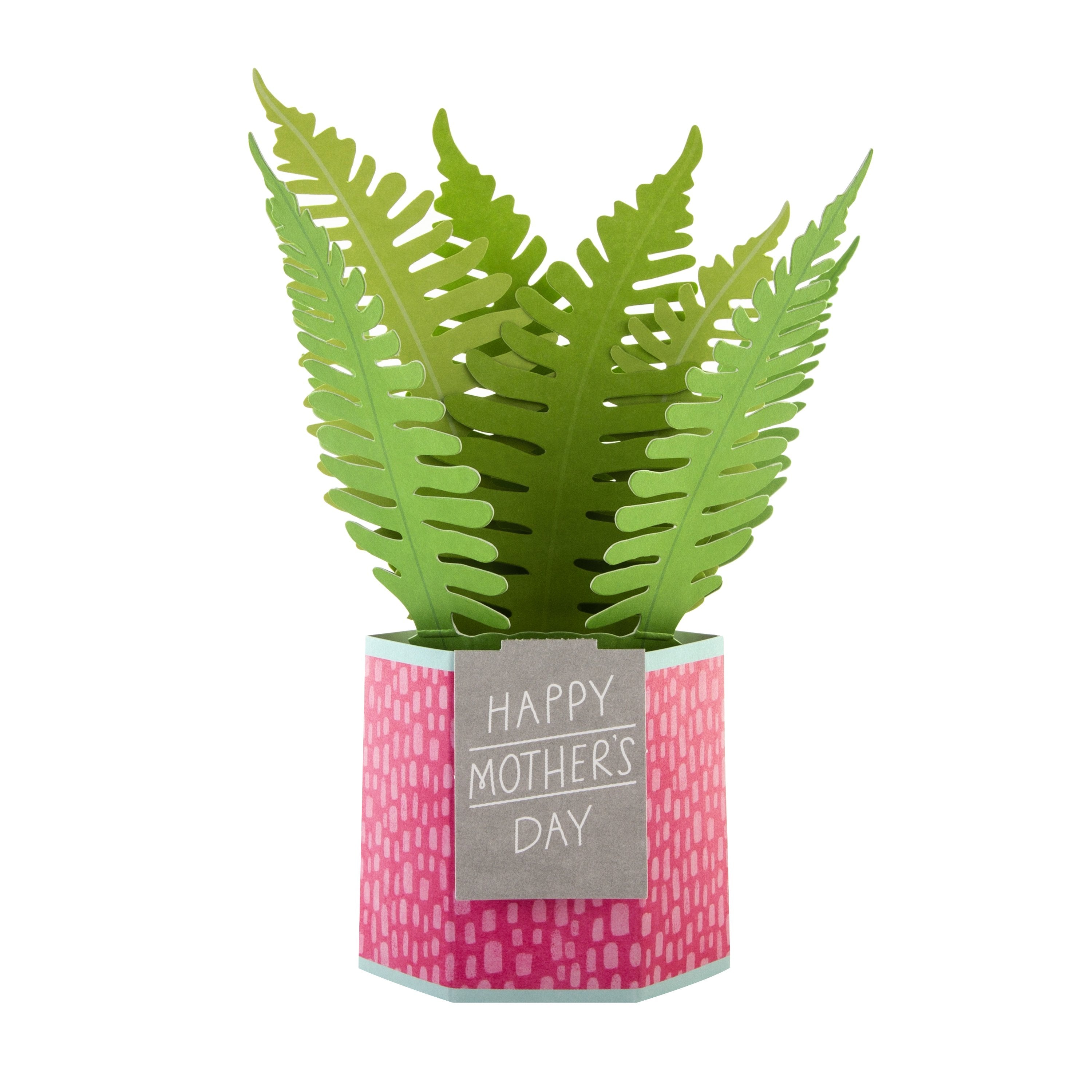 Recyclable Mothers Day Card Pop up Plant Design