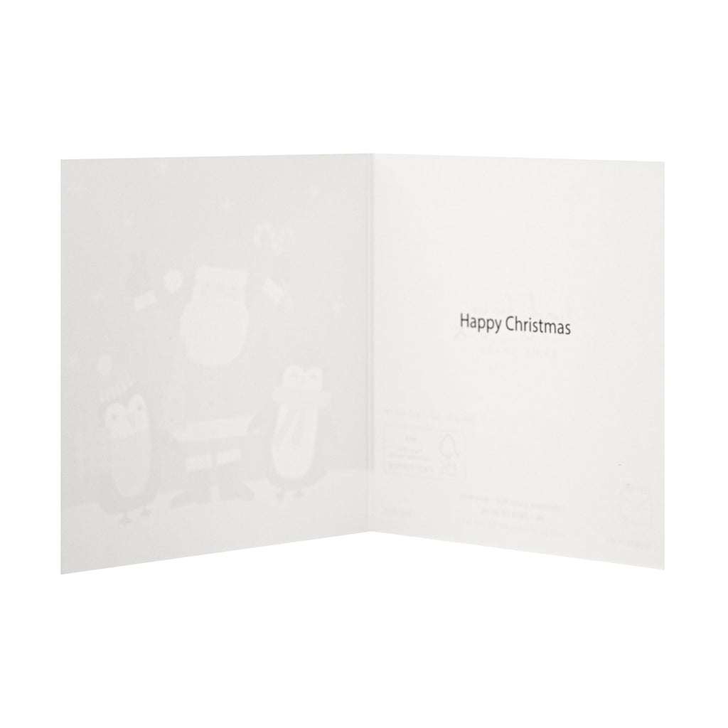 Simply for You' Christmas Cards - Pack of 30 Cards in 2 Cute Designs