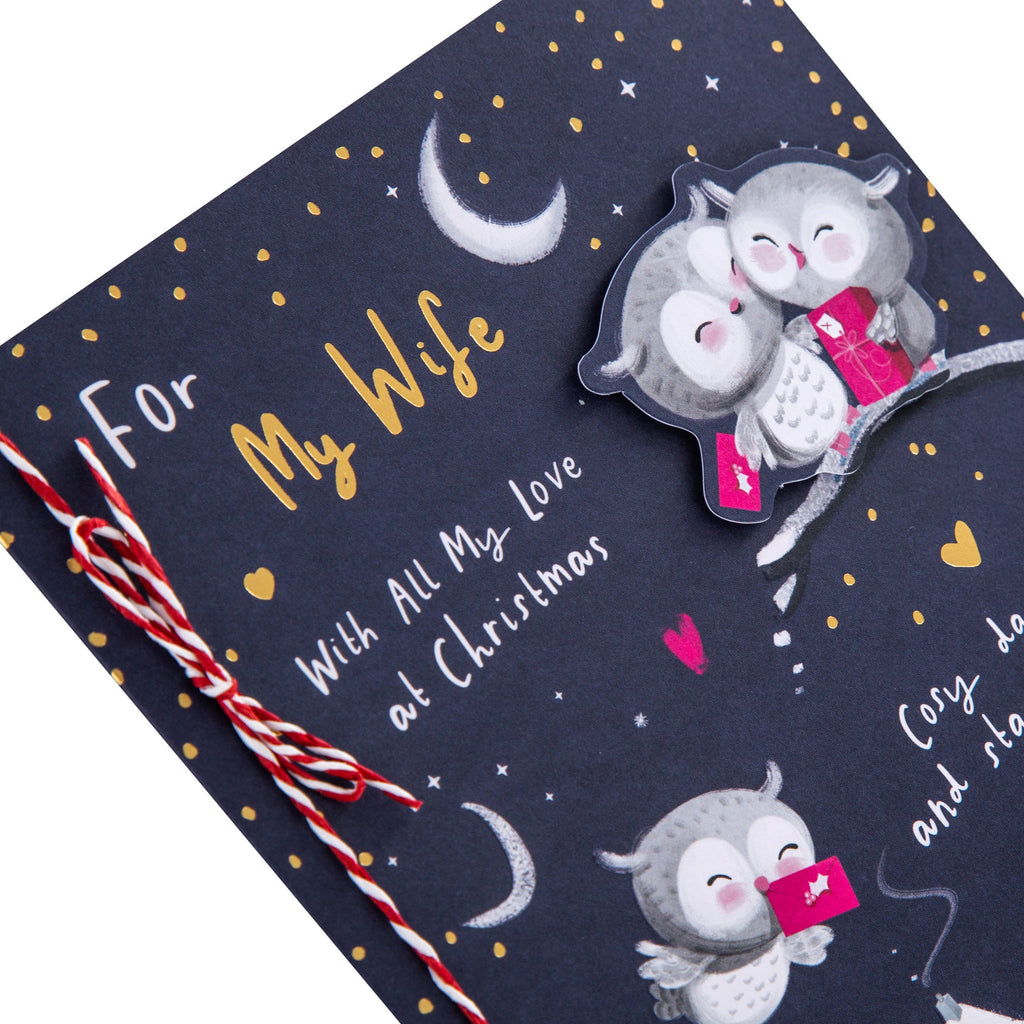 Christmas Card for Wife  - Cute Illustrated Owls Design