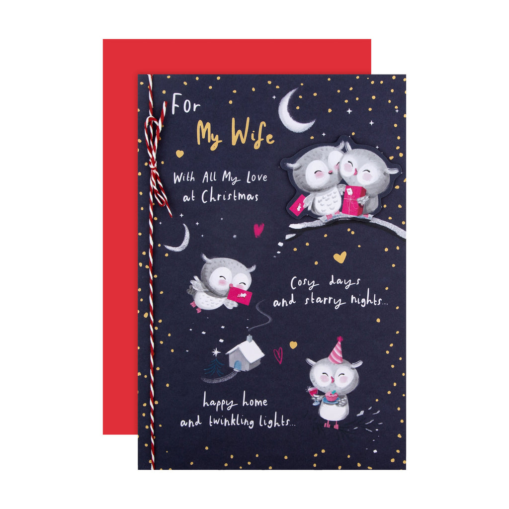 Christmas Card for Wife  - Cute Illustrated Owls Design