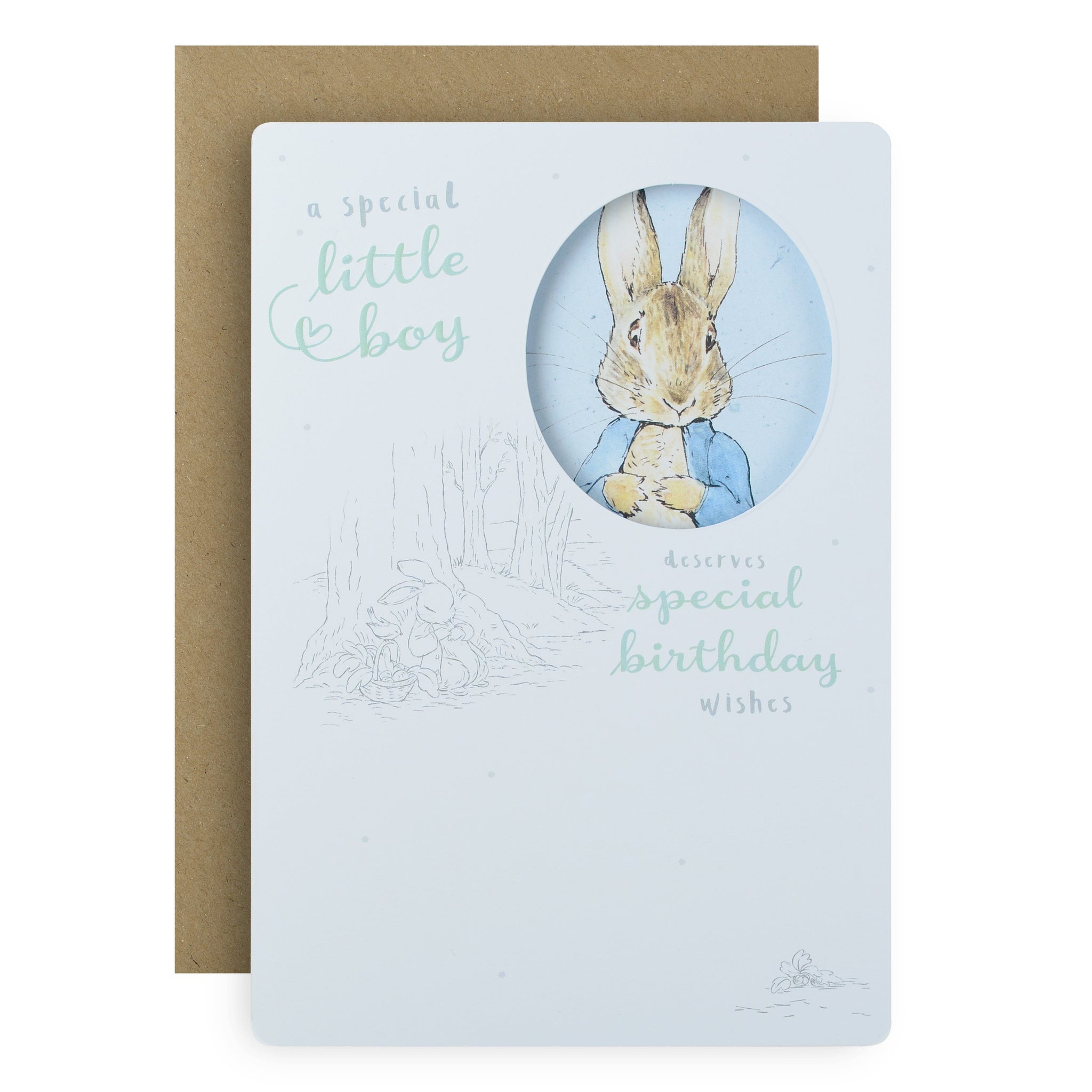 Peter Rabbit Birthday Invitation PETER Authorized RABBIT Birthday Card