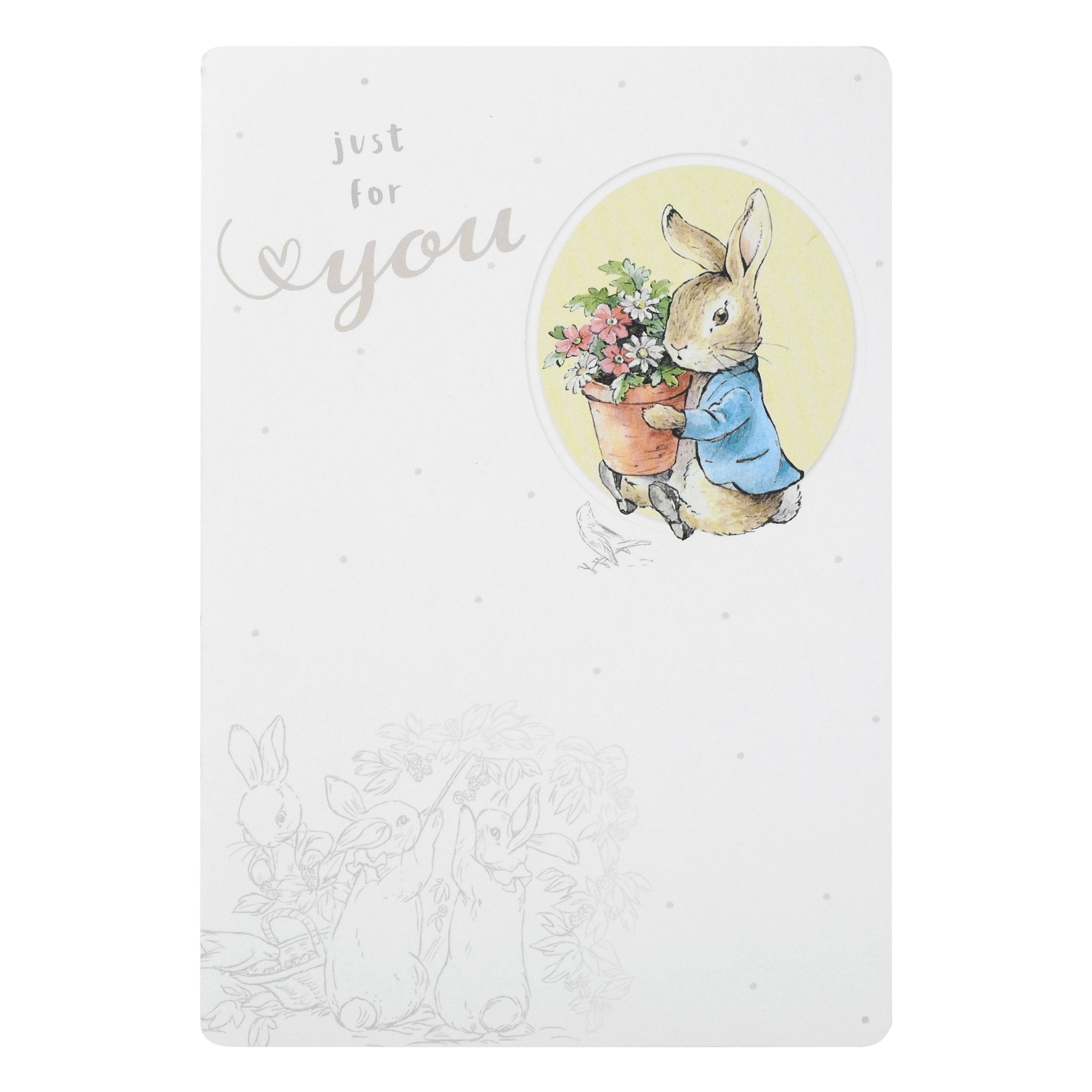 Any Occasion Blank Card - Illustrated Peter Rabbit™ Design – Hallmark