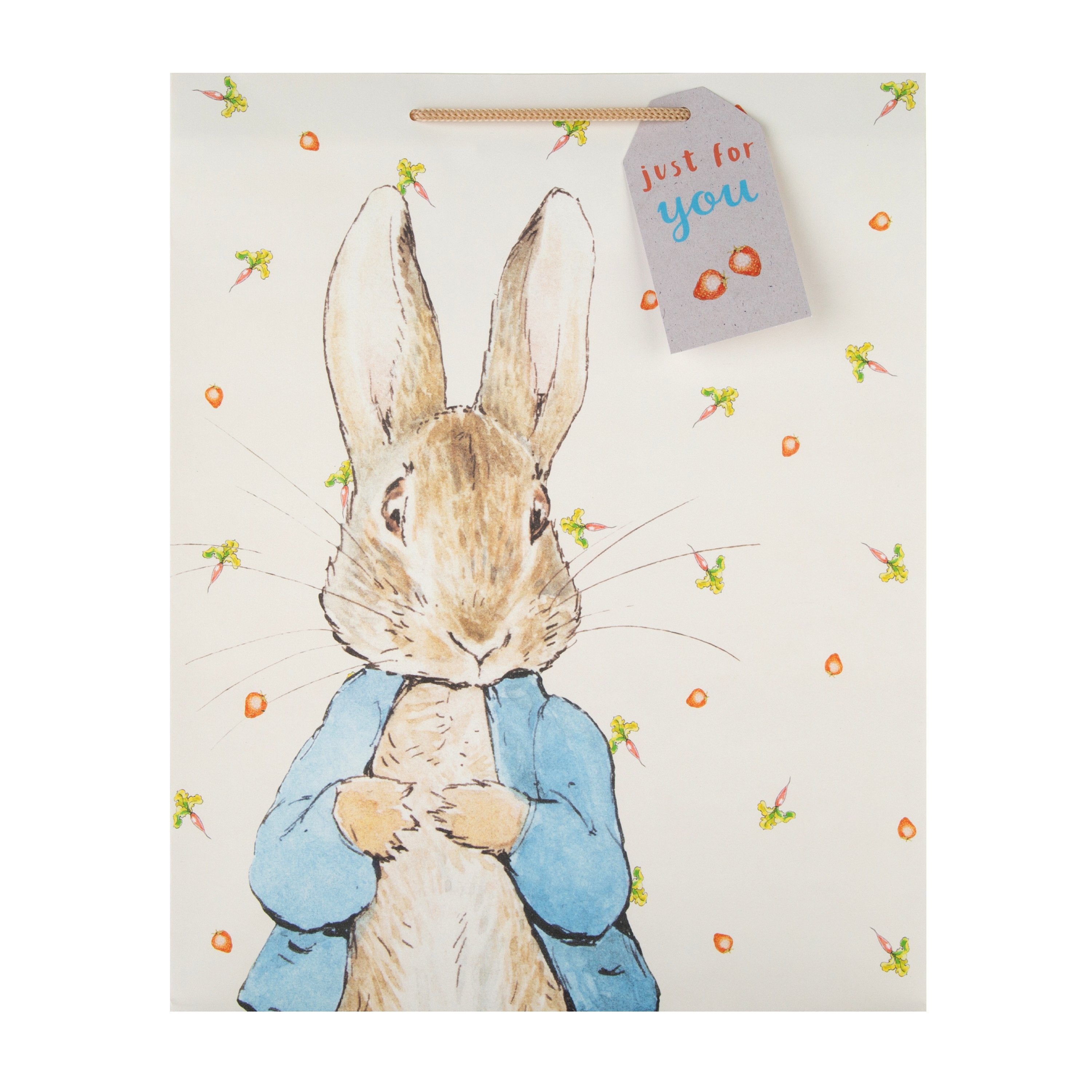Large Multi-Occasion Gift Bag - Cute Peter Rabbit™ Design – Hallmark