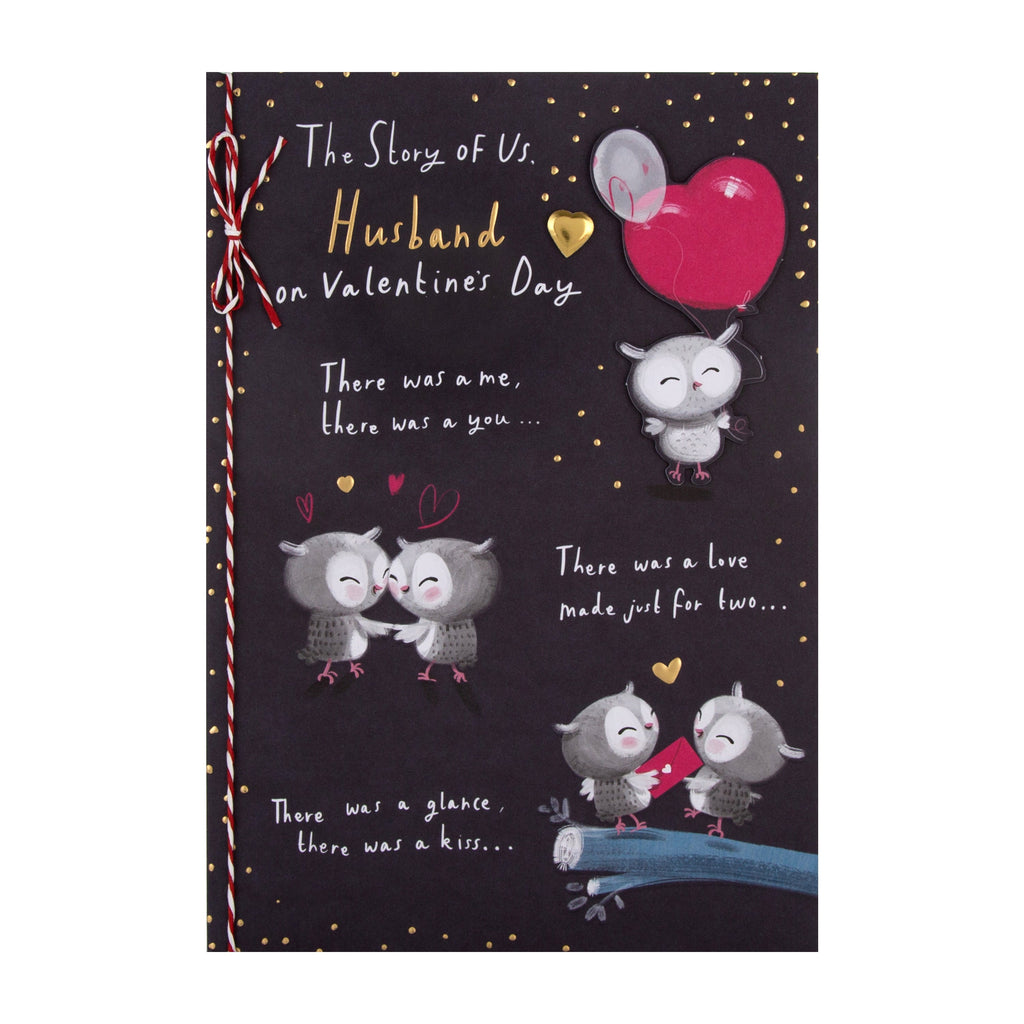 Valentine's Day Card for Husband - Cute Cartoon Owls Design with Gold Foil and 3D Add On