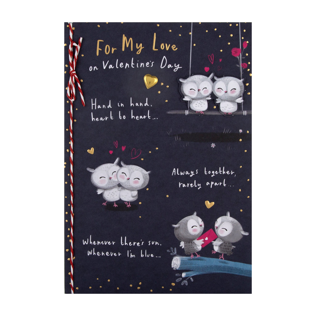 General Valentine's Day Card - Cute Cartoon Owls Design with Gold Foil and 3D Add On