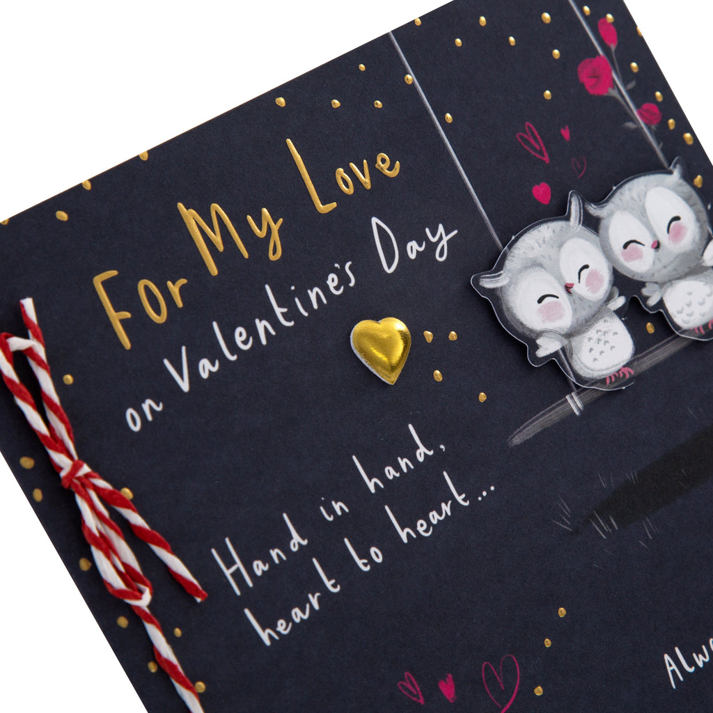 General Valentine's Day Card - Cute Cartoon Owls Design with Gold Foil and 3D Add On