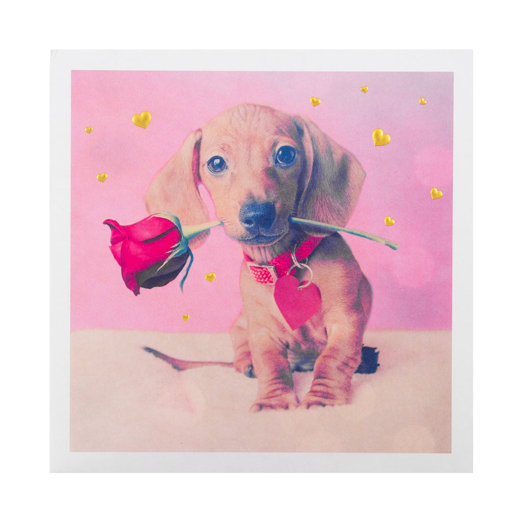 General Valentine's Day Card - Cute Dog Design