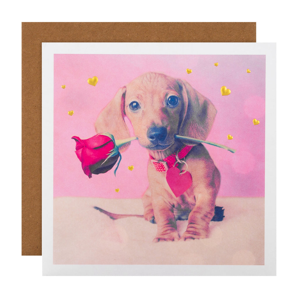 General Valentine's Day Card - Cute Dog Design