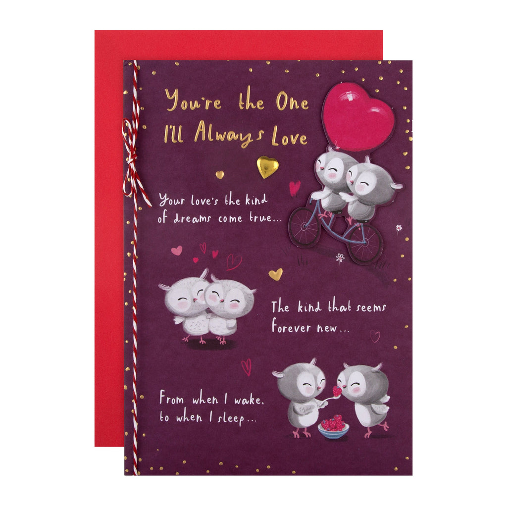 Valentine's Day Card for the One I Love - Cute Cartoon Owls Design with Gold Foil and 3D Add On