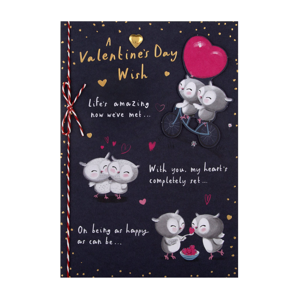 Valentine's Day Card for Someone Special - Cute Cartoon Owls Design with Gold Foil and 3D Add On