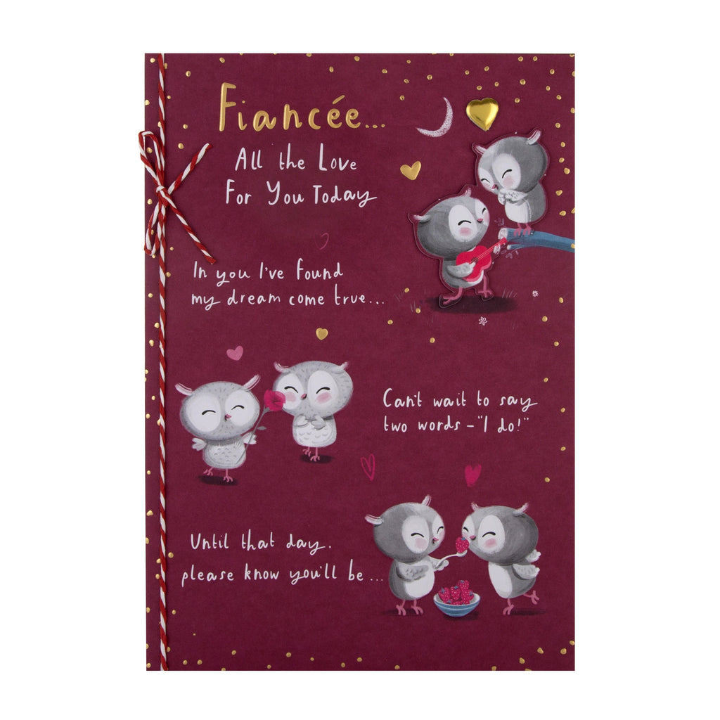 Valentine's Day Card for Fiancee - Cute Cartoon Owls Design with Gold Foil and 3D Add On