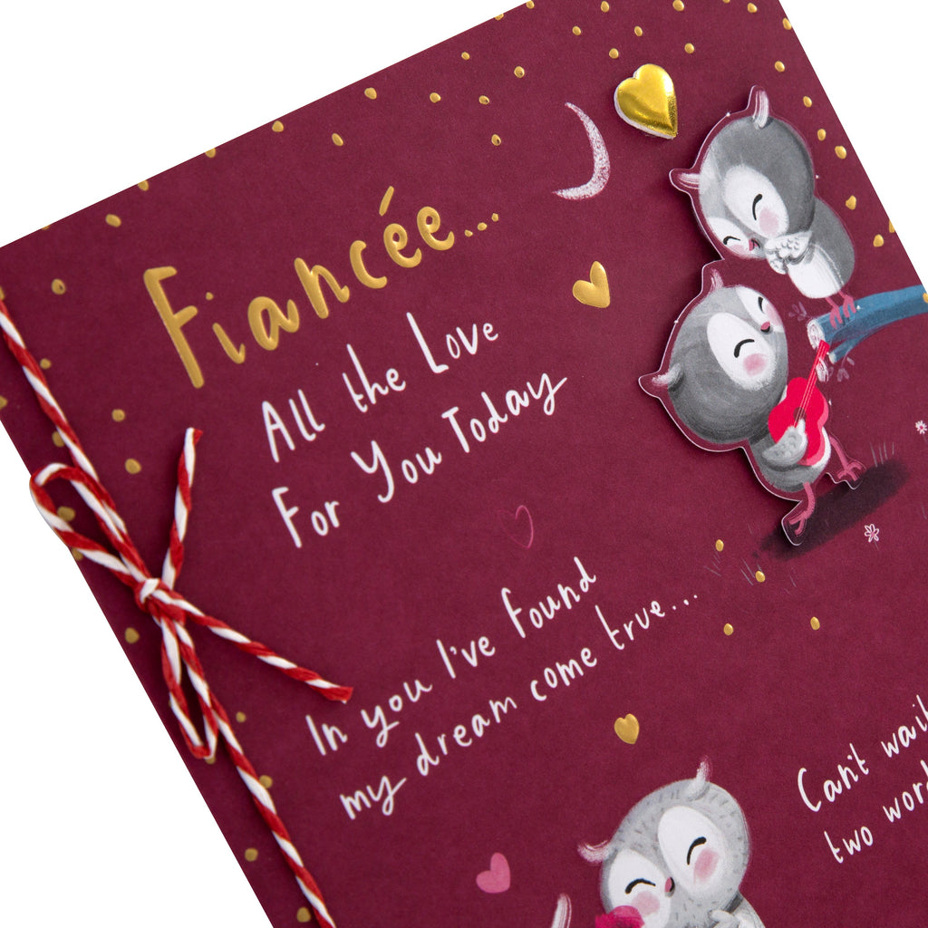 Valentine's Day Card for Fiancee - Cute Cartoon Owls Design with Gold Foil and 3D Add On