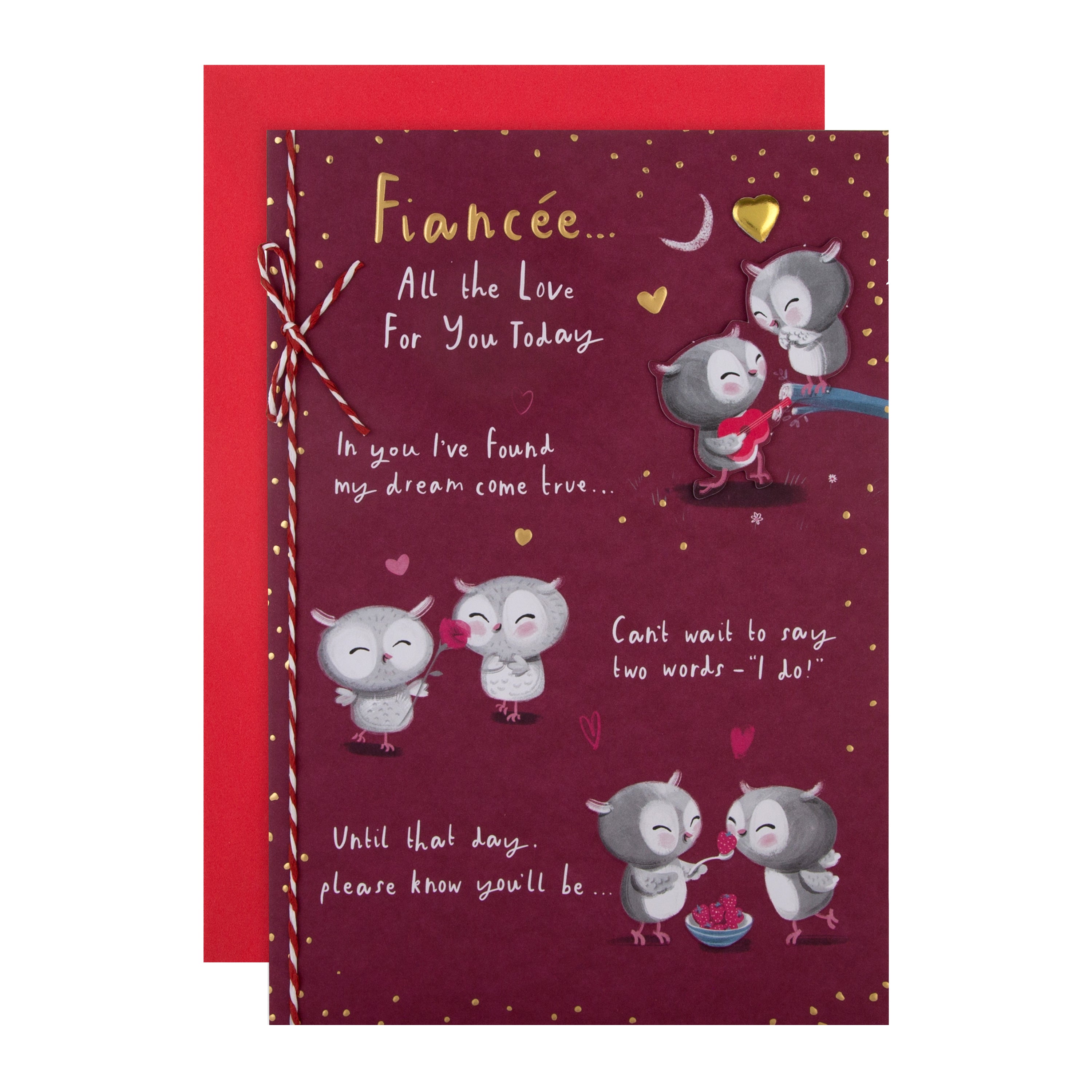 Valentines Day Card Fiancee Cute Cartoon Owls Design Foil 3D Add On