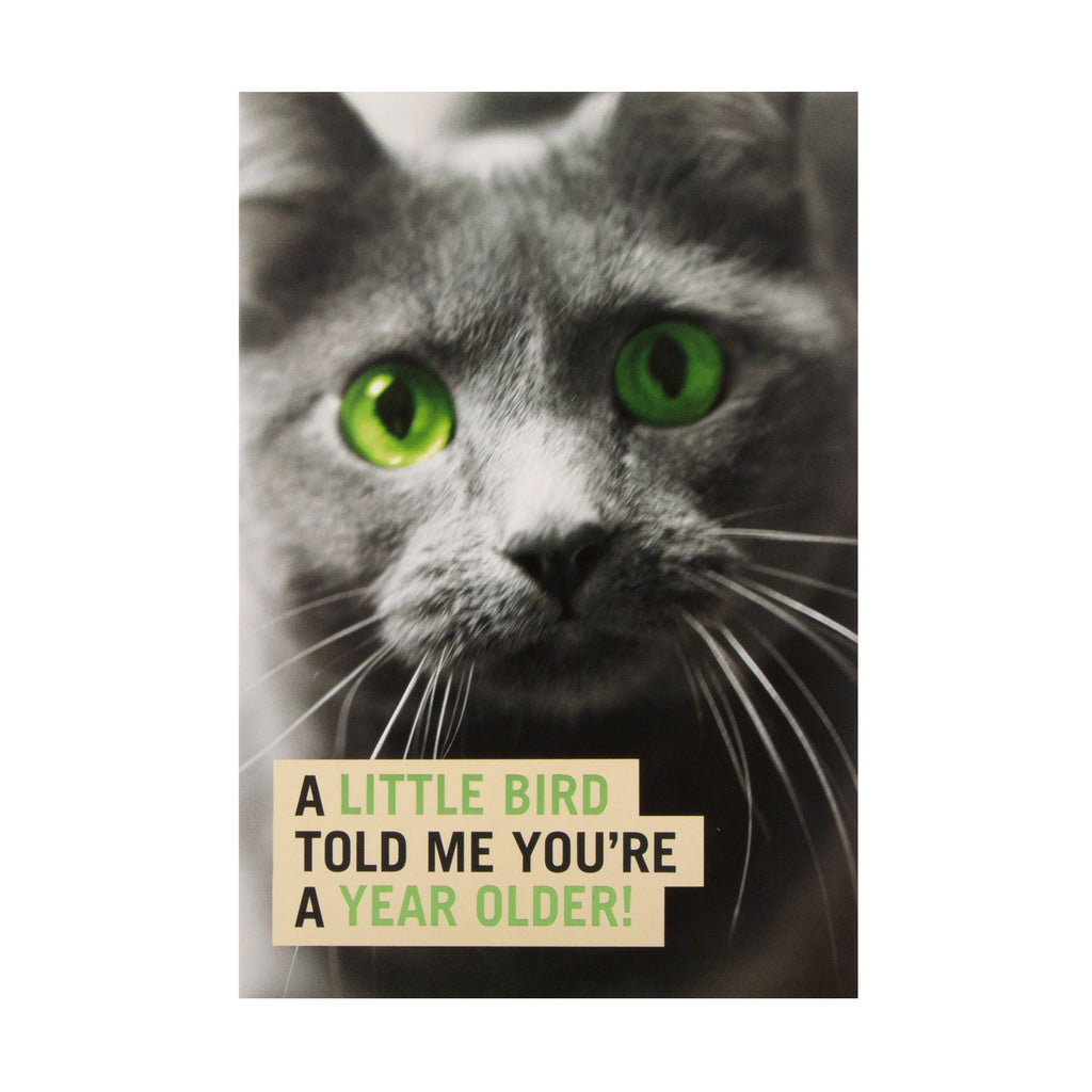 Funny Birthday Card - Cat Shoebox Collection Design with Green Foil
