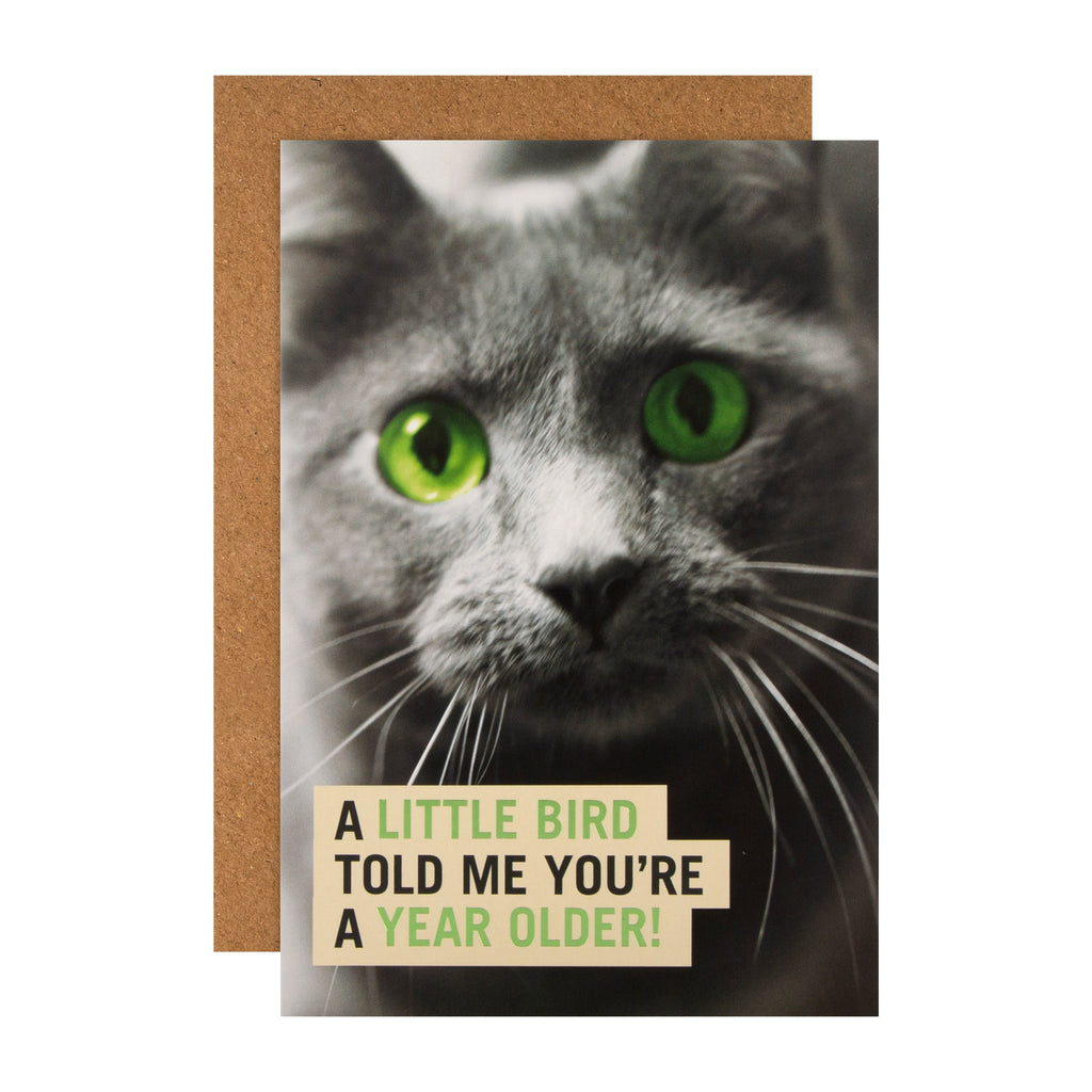 Funny Birthday Card - Cat Shoebox Collection Design with Green Foil