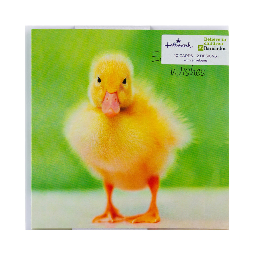 Charity Easter Cards Pack - 10 Cards in 2 Cute Animal Photo Designs