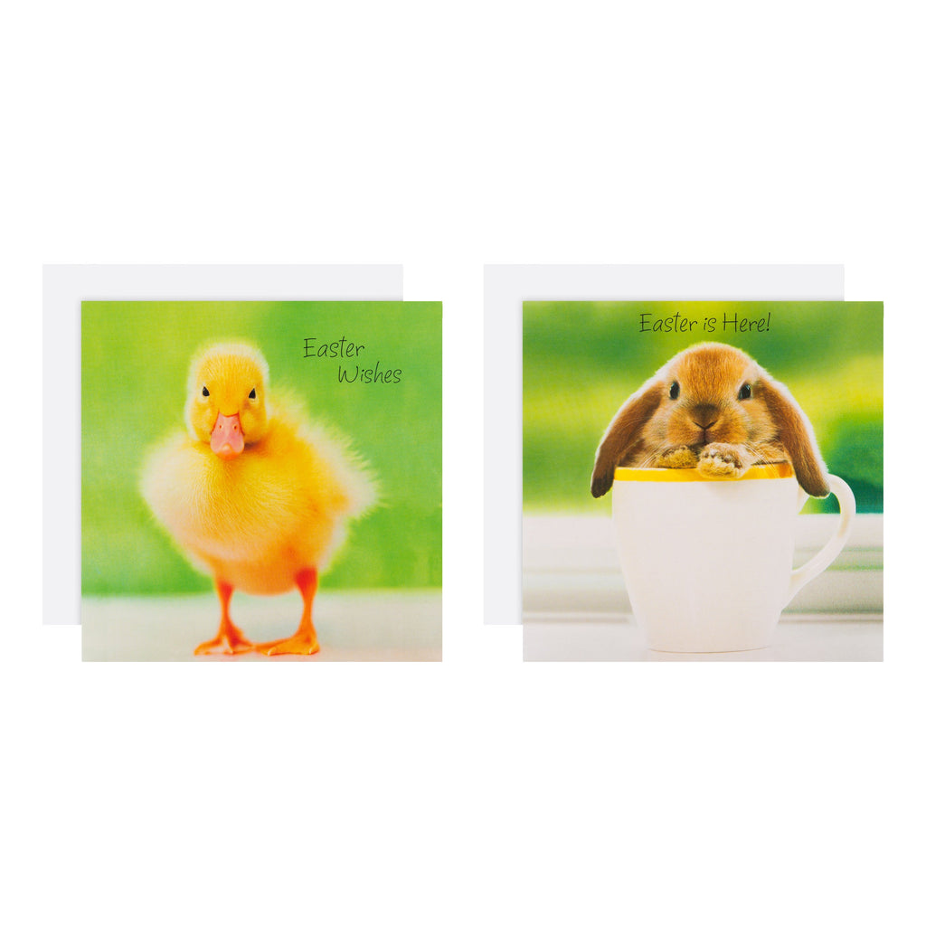 Charity Easter Cards Pack - 10 Cards in 2 Cute Animal Photo Designs
