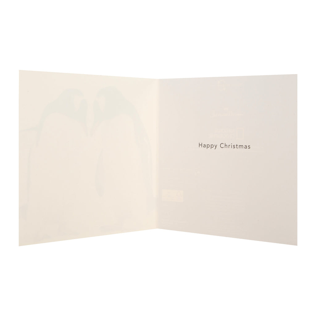 Christmas Cards - Pack of 16 in 2 Bear and Penguin National Geographic Designs