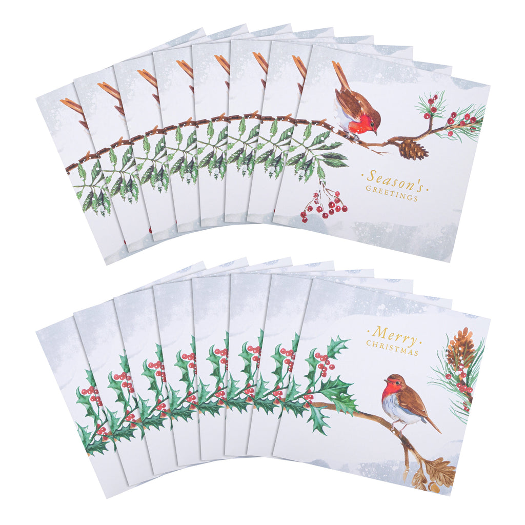 Charity Christmas Cards - Pack of 16 in 2 Robin Designs