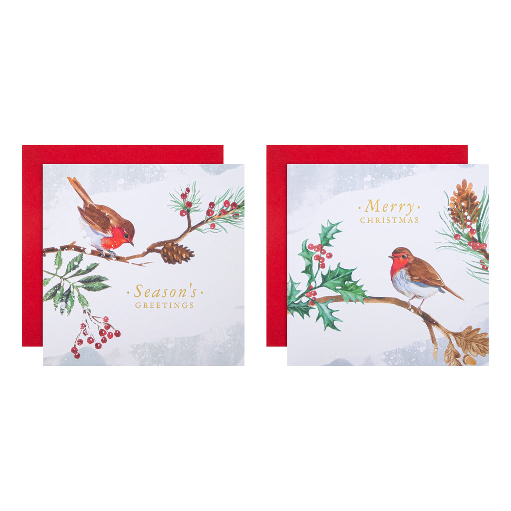 Charity Christmas Cards - Pack of 16 in 2 Robin Designs