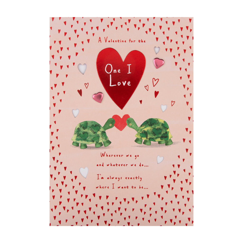 Valentine's Day Card for One I Love - Cute Turtles Design