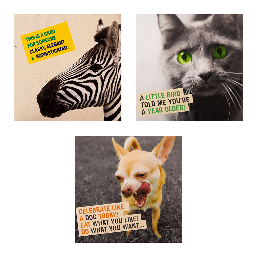 Funny Birthday Cards - Multipack of 10 in 5 Photographic Designs
