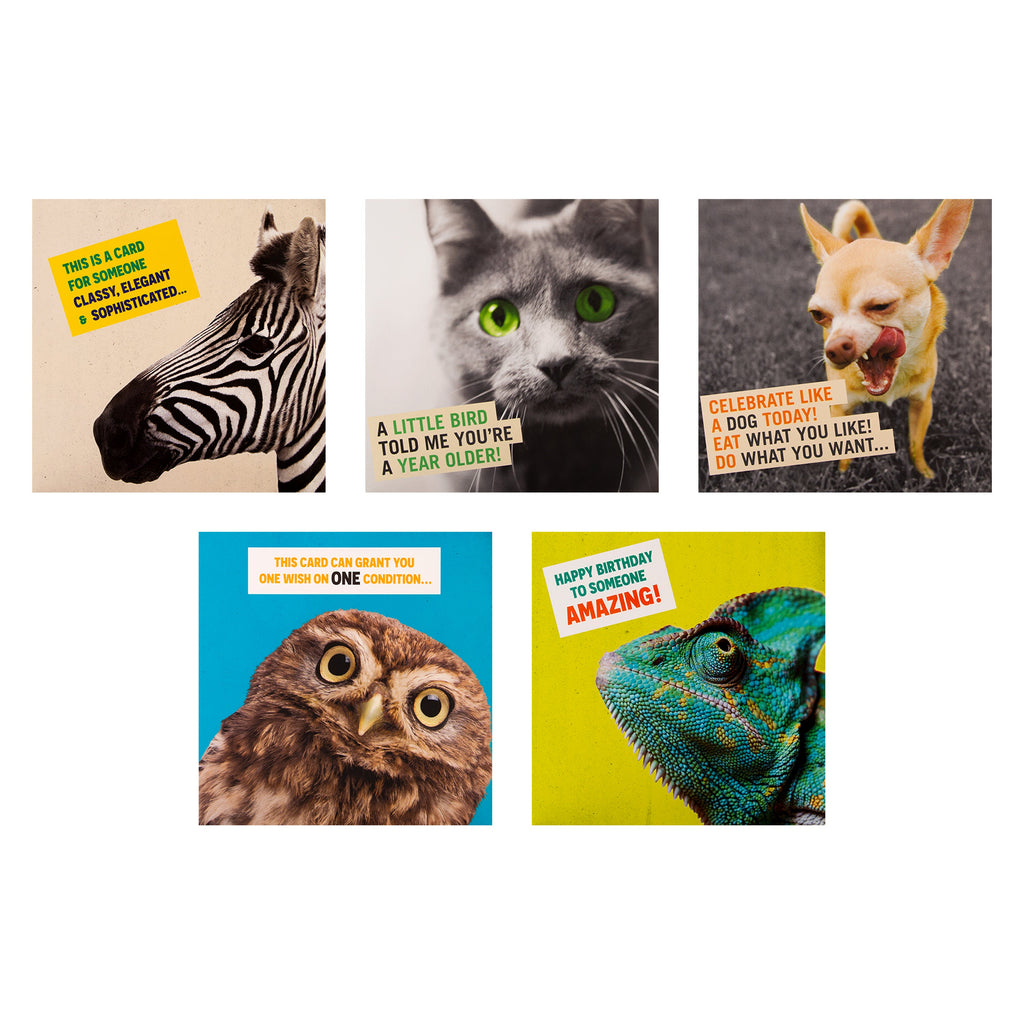 Funny Birthday Cards - Multipack of 10 in 5 Photographic Designs