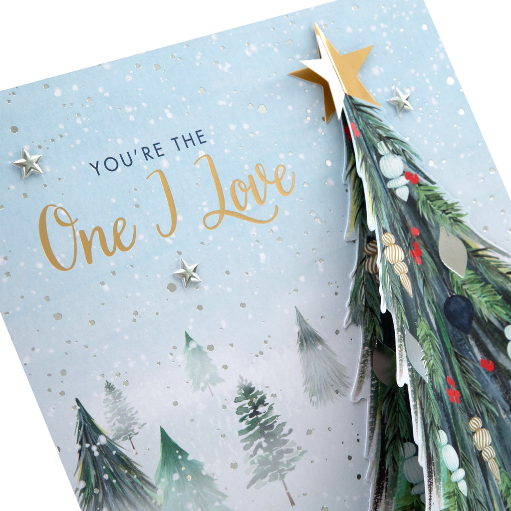 Large Luxury Boxed Christmas Card for One I Love - Classic Winter Scene with Tree Design