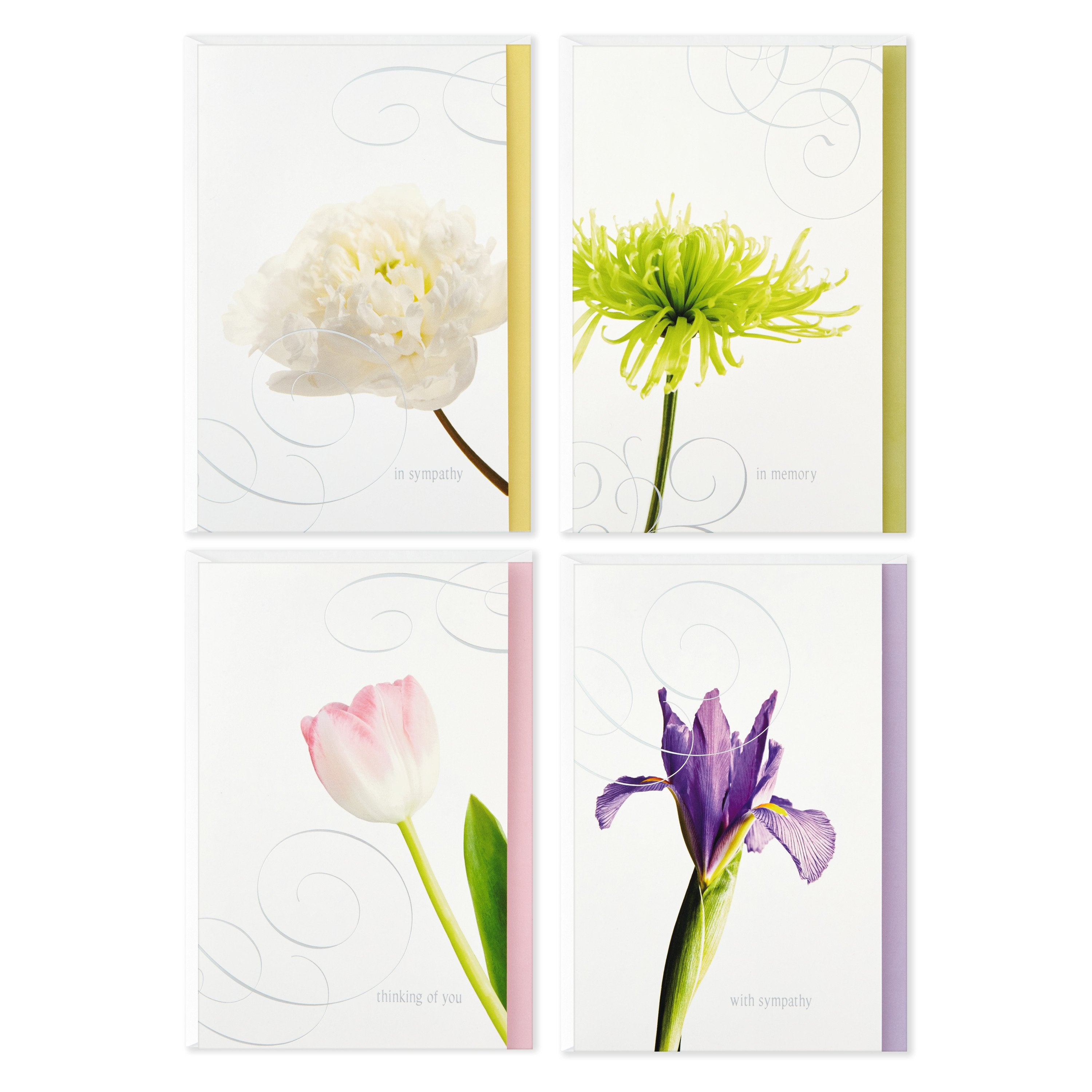 Sympathy Cards Pack 12 4 Photographic Floral Designs