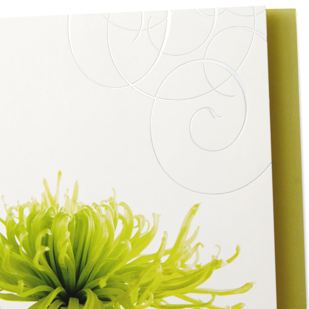 Sympathy Cards - Pack of 12 in 4 Photographic Floral Designs