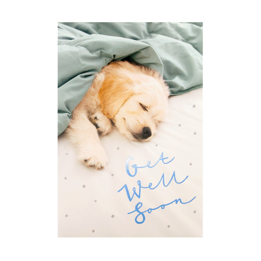 Get Well Card from Hallmark - Cute Photographic Design