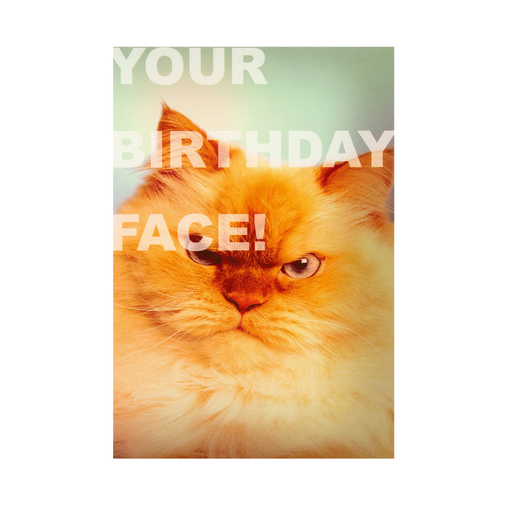 Funny Birthday Card - Grumpy Cat Face Shoebox Collection Design