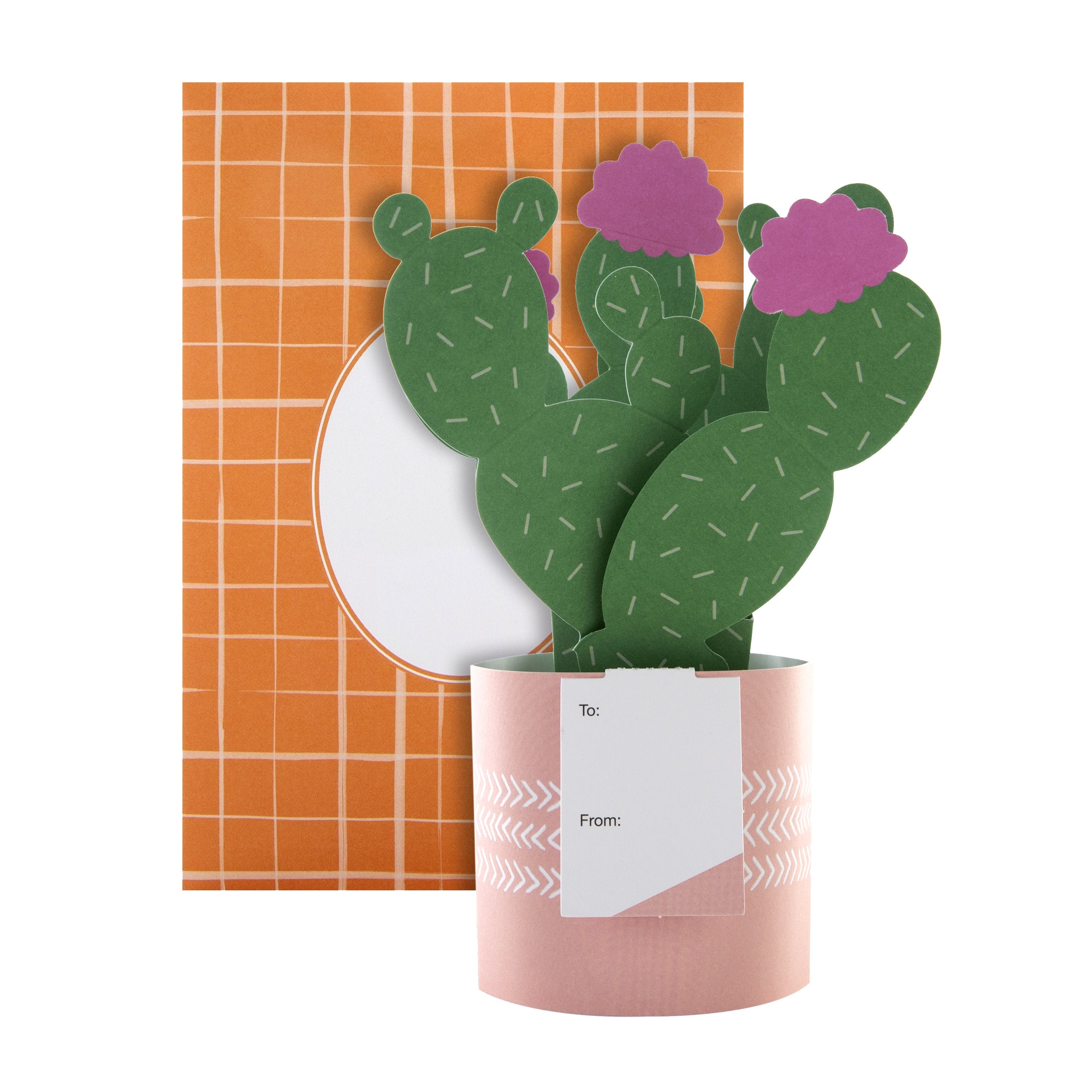 Pop up Plant Card Cactus Design