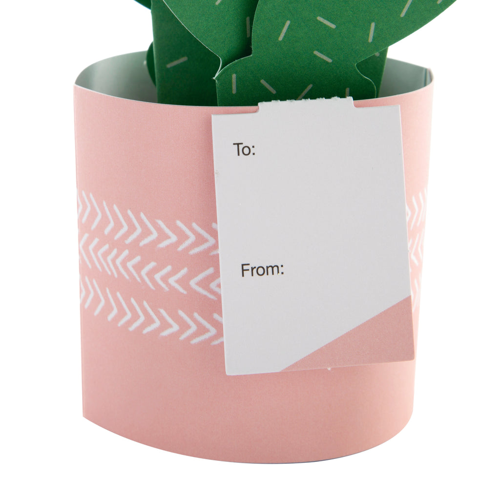 Pop-up Plant Card - Cactus Design