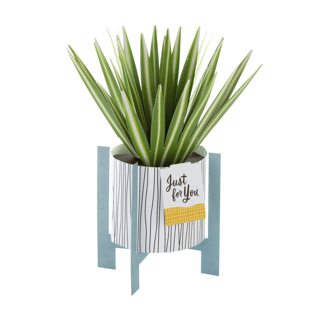 Pop-up Plant Card - Spider Plant Design