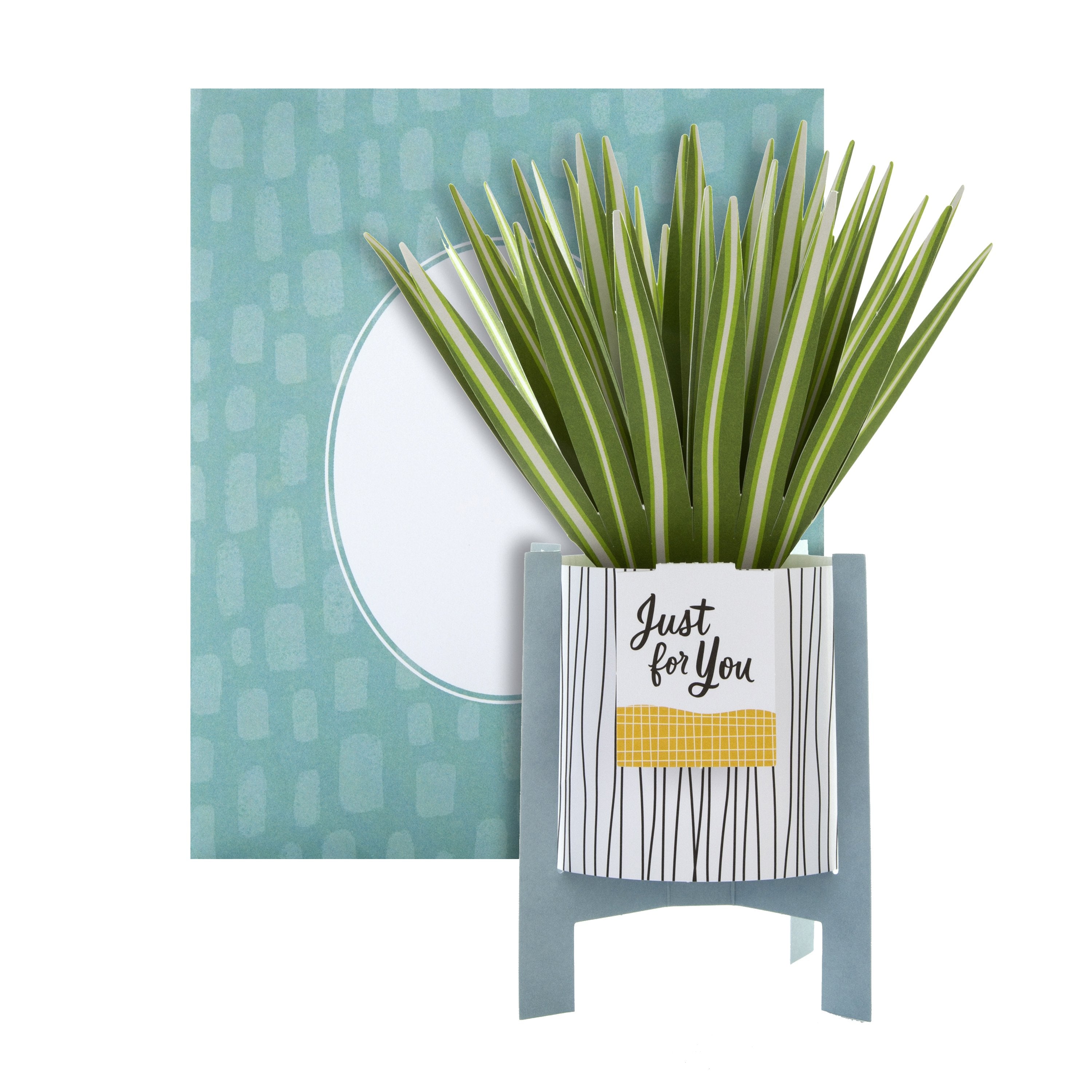 Pop up Plant Card Spider Plant Design