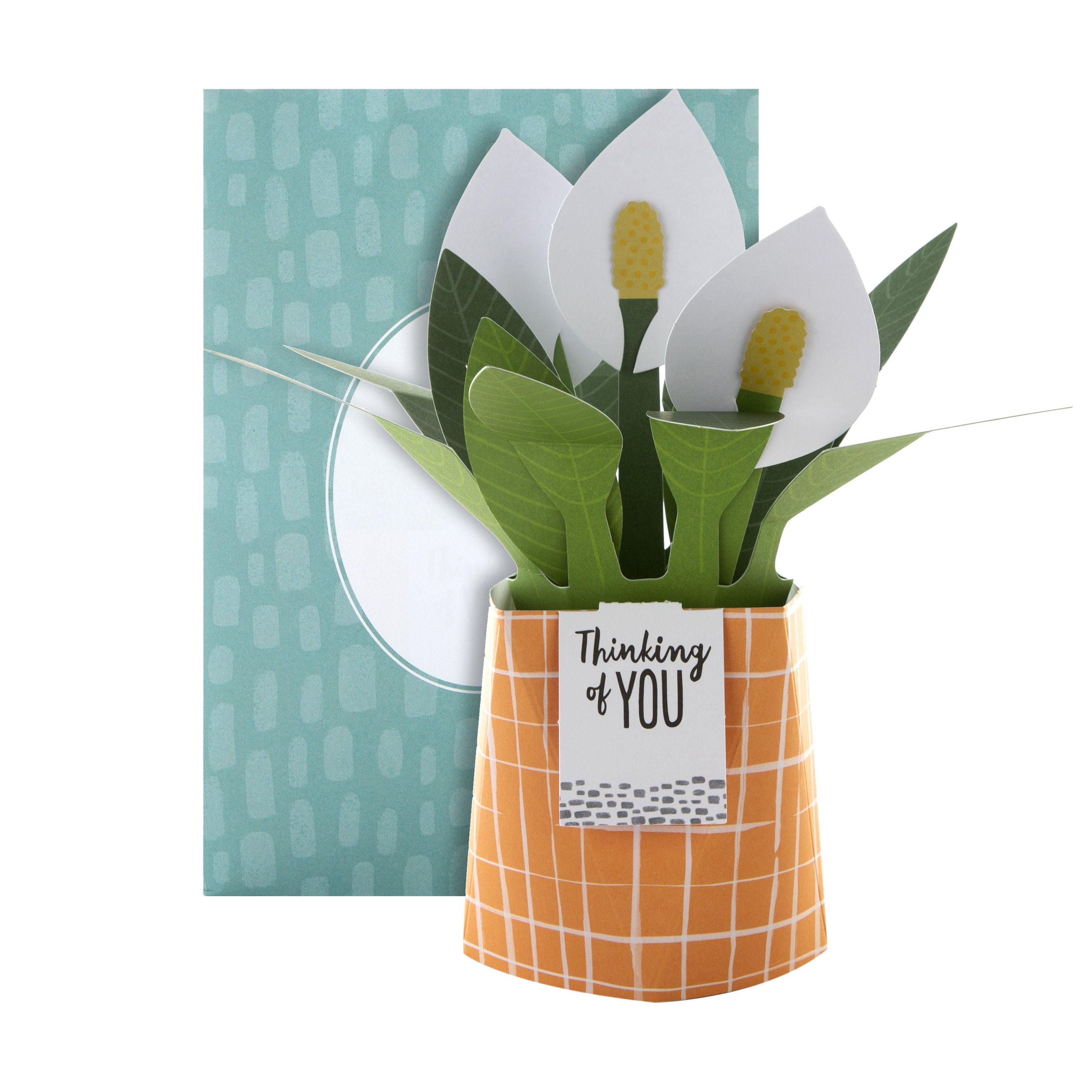 Pop-up Plant Card - Peace Lily Design