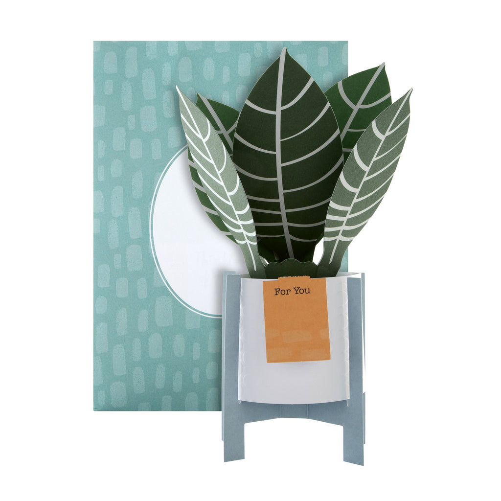 Pop-up Plant Card - Zebra Plant Design