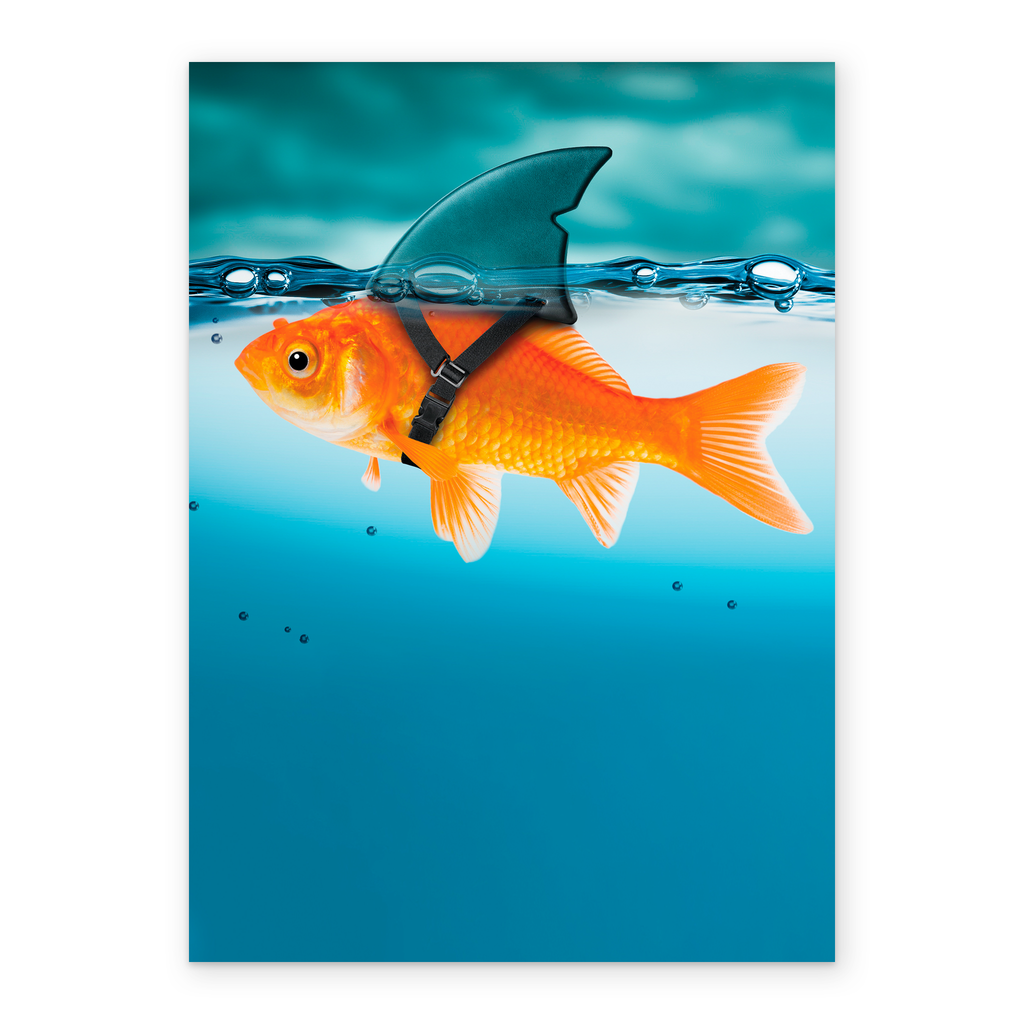 Personalised Funny Goldfish With Shark Fin Card – Hallmark