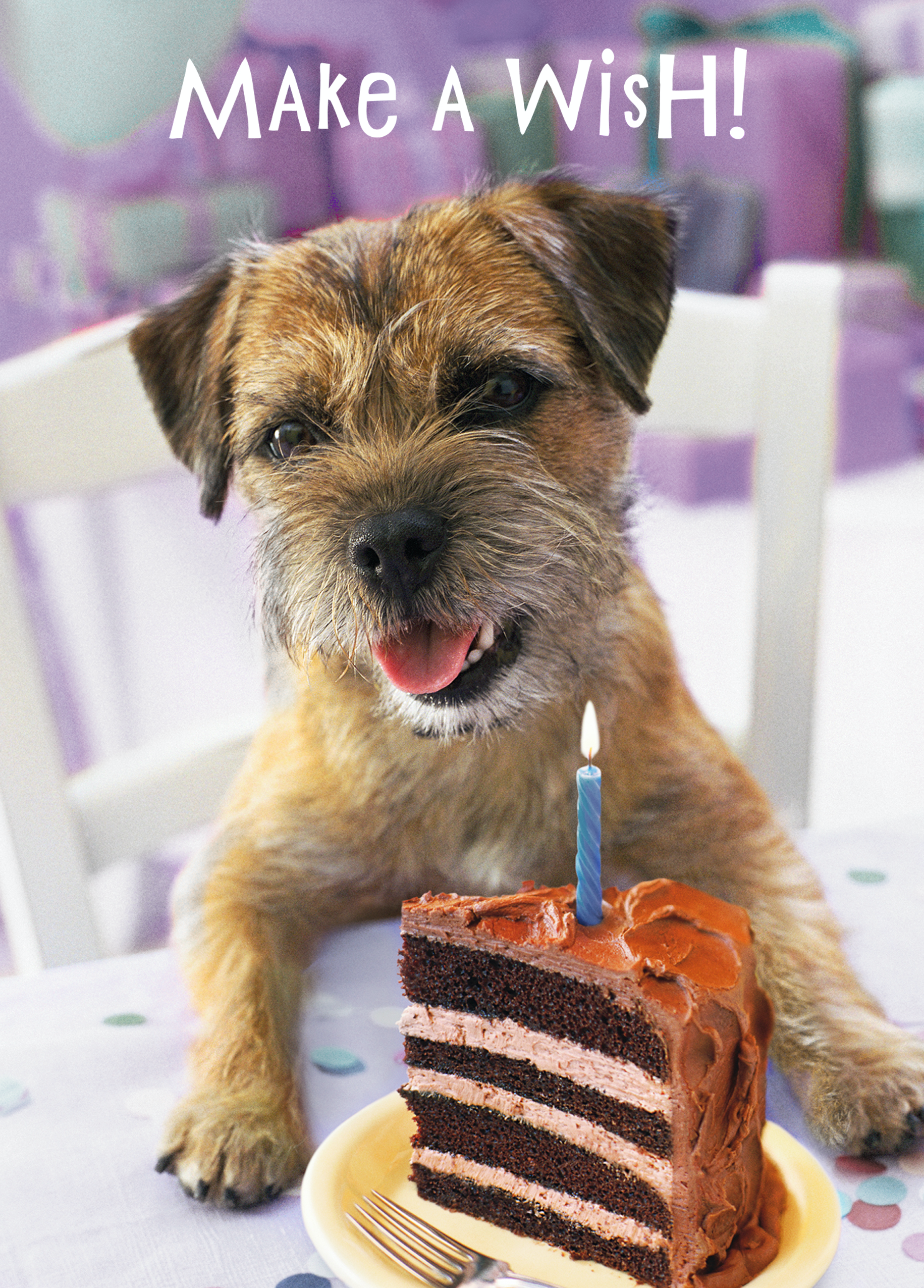 Border 2024 terrier cake
