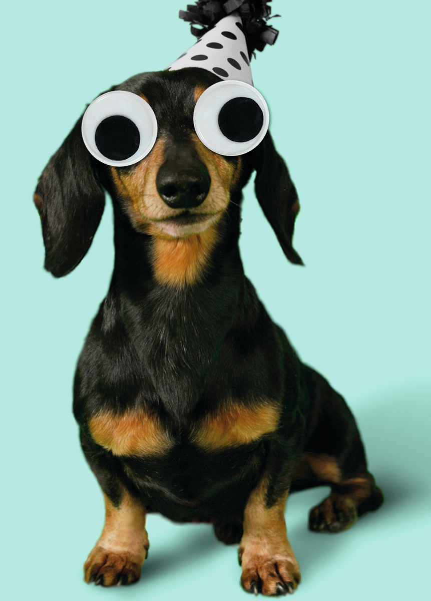 Personalised Editable Wiener Dog Photo Birthday Card – Hallmark